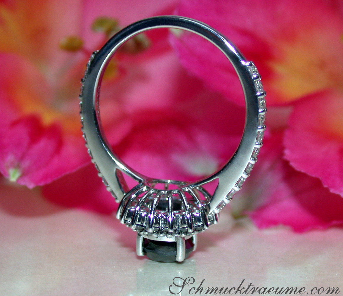 Weißgold-Ring mit schwarzen Diamanten, Detailaufnahme, Blumenhintergrund.