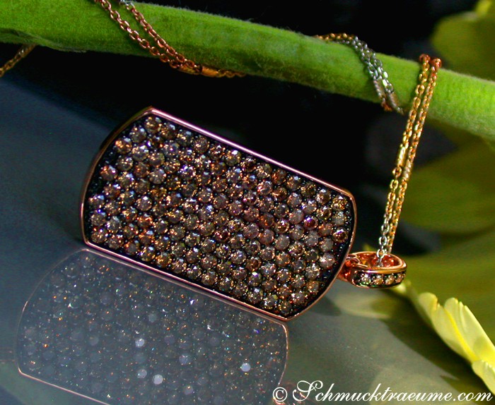 Goldener Dog-Tag-Anhänger mit braunen Brillanten, detailreich, auf grüner Pflanze.