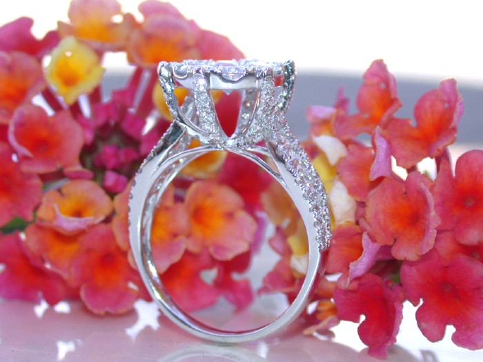 Erstklassiger Brillanten-Solitärring im Weißgold, Detailaufnahme mit funkelnden Diamanten, blühende Blumen im Hintergrund.