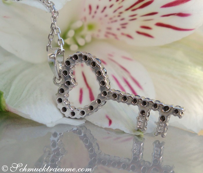 Schwarzer Diamant Schlüsselanhänger, feine Verzierung, zarte Kette, Blume im Hintergrund