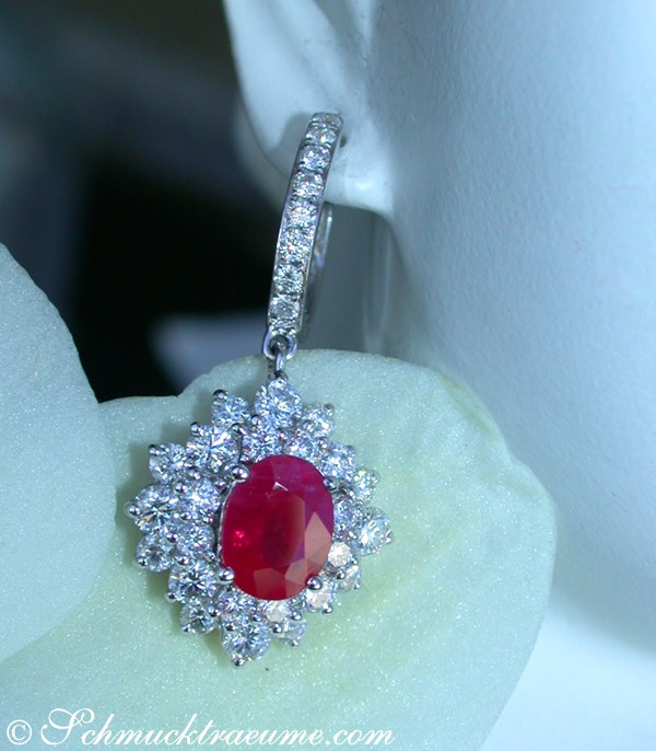 Exquisite Burma Rubin Ohrstecker mit Brillanten - Image 5