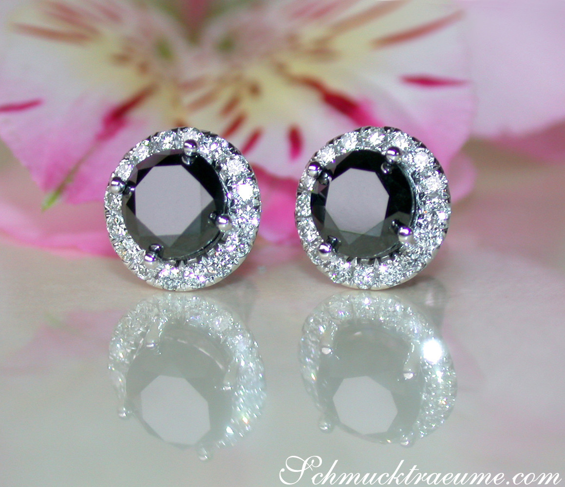 Schwarze Diamant-Ohrstecker mit Halo-Design, Weißgold 585