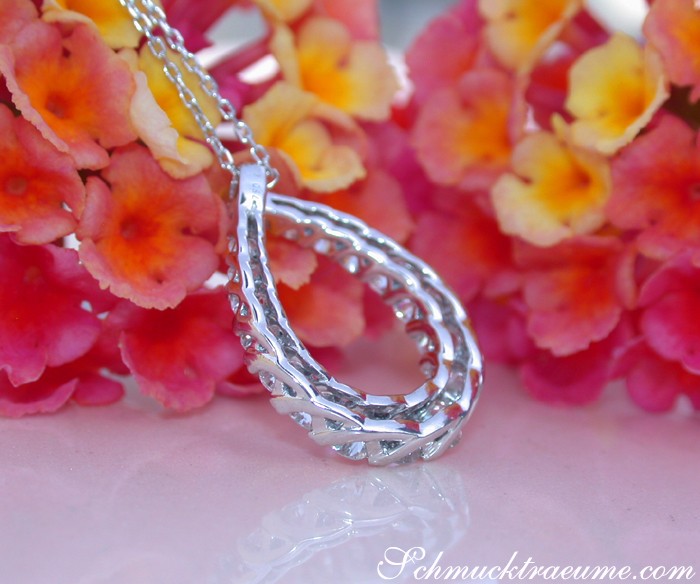 Silberner Diamanten-Tropfen-Anhänger mit floraler Hintergrunddekoration