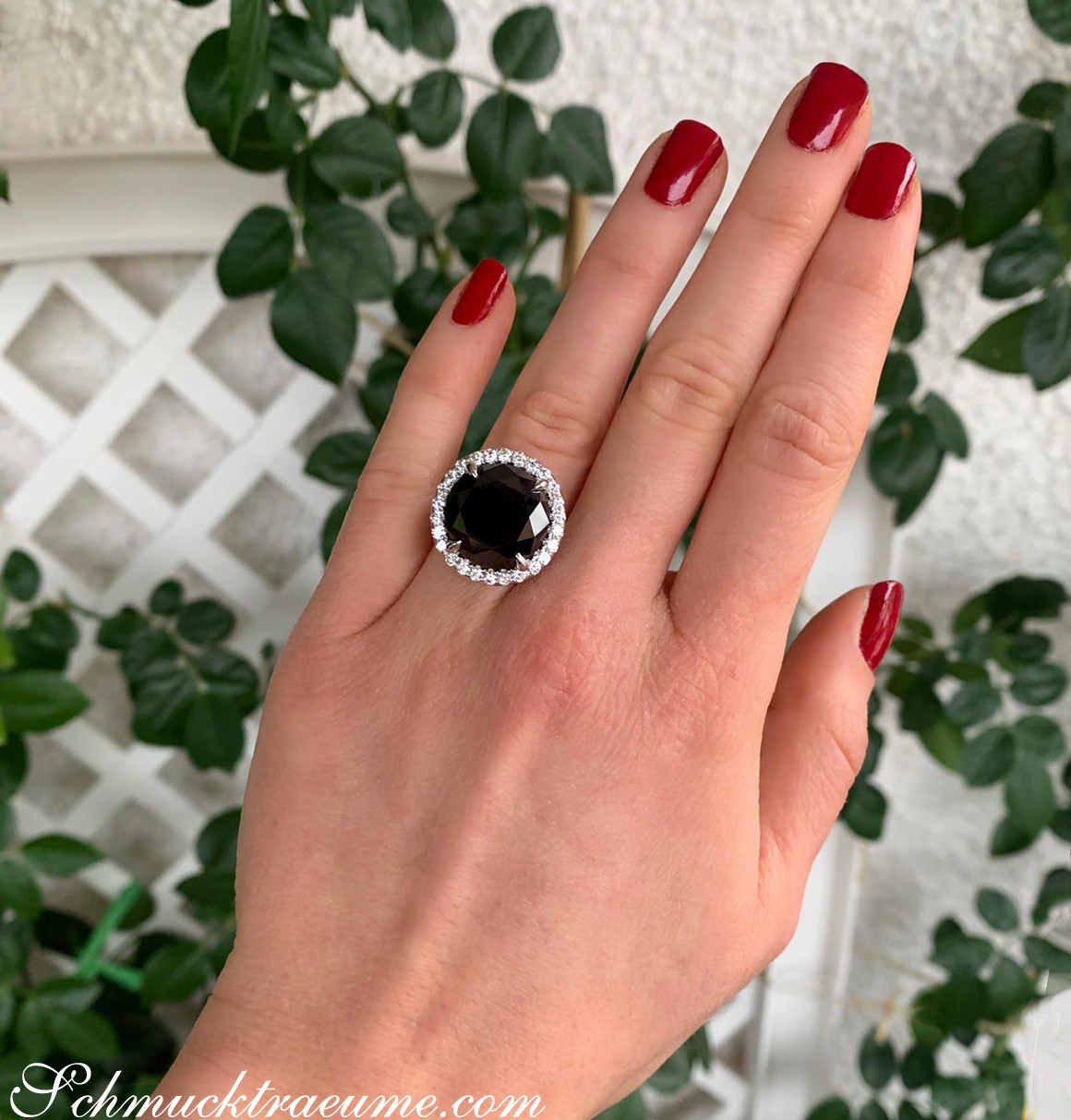 Schwarzer Diamant Solitär-Ring mit Brillanten, Detailaufnahme, roter Nagellack, Pflanzen im Hintergrund