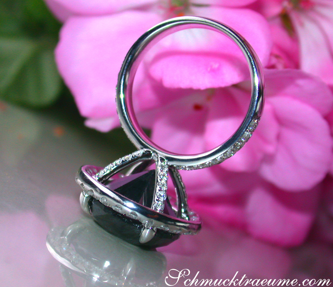 Schwarzer Diamant Solitär-Ring mit Brillanten, Detailaufnahme, auf Rosenblüte abgestellt