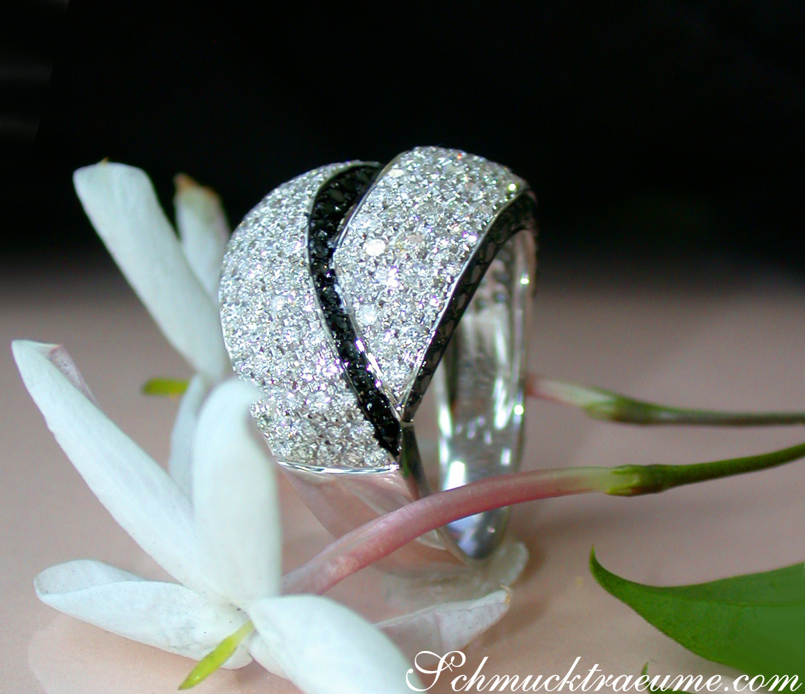 Schwarz-Weiß-Diamant-Ring auf Blume, Detailaufnahme, elegant, glitzernd