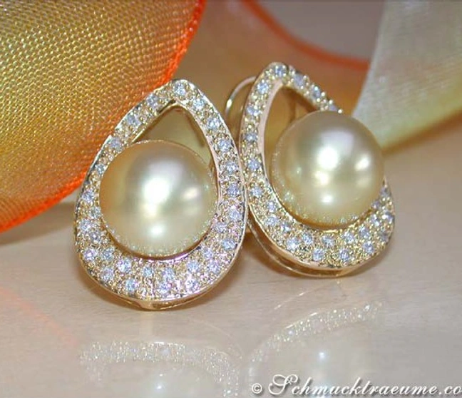 Goldene Süßwasserperlen-Ohrringe mit Diamanten im Mikimoto-Stil, elegant auf Schleife präsentiert. Goldene Süßwasserperlen-Ohrringe mit Diamanten im Mikimoto-Stil, elegant auf Schleife präsentiert.