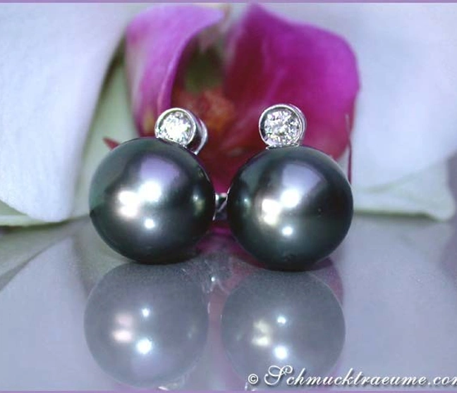 Tahitiperlen-Ohrstecker mit Diamanten in Weißgold, elegant auf Orchidee präsentiert Tahitiperlen-Ohrstecker mit Diamanten in Weißgold, elegant auf Orchidee präsentiert