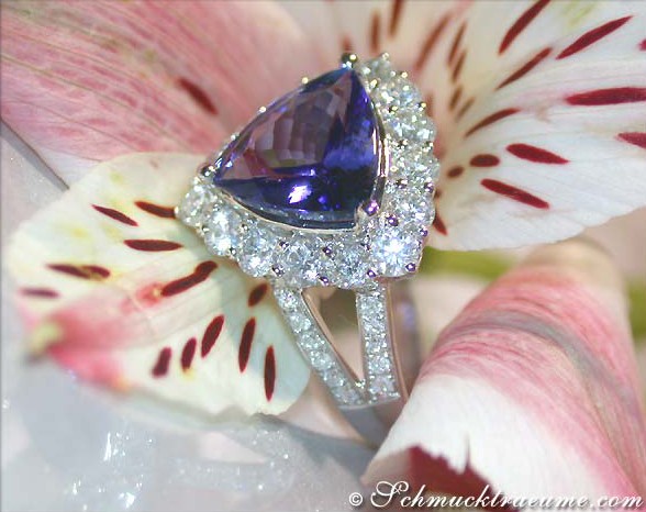 Erstklassiger Tansanit Ring mit Brillanten - Image 4