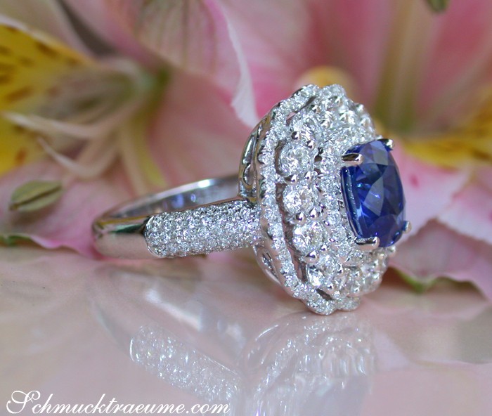 Exklusiver Saphirring mit Brillanten im Weißgold 750, Detailaufnahme mit Blume im Hintergrund