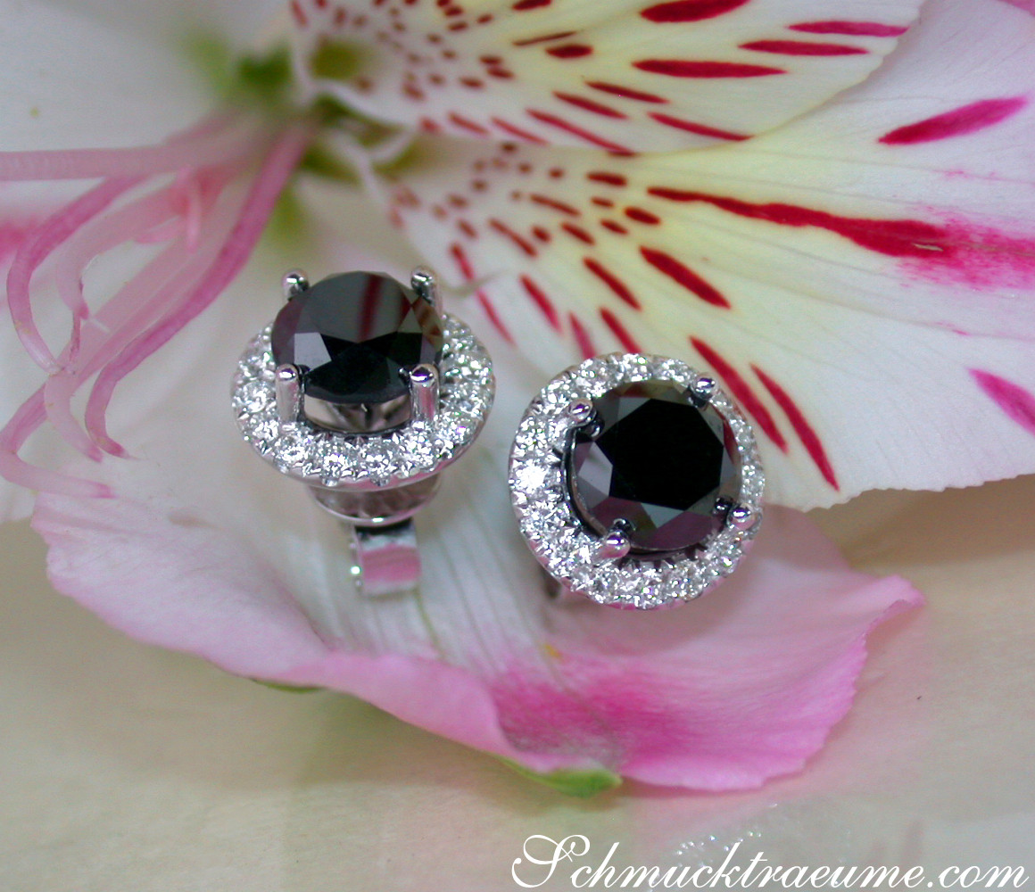 Schwarzdiamant-Ohrstecker mit Halo-Brillanten auf Blüte
