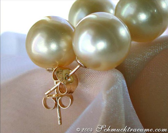 Detailansicht von goldenen Südseeperlen Ohrsteckern in Gelbgold 750, Perlendurchmesser 11-12 mm.