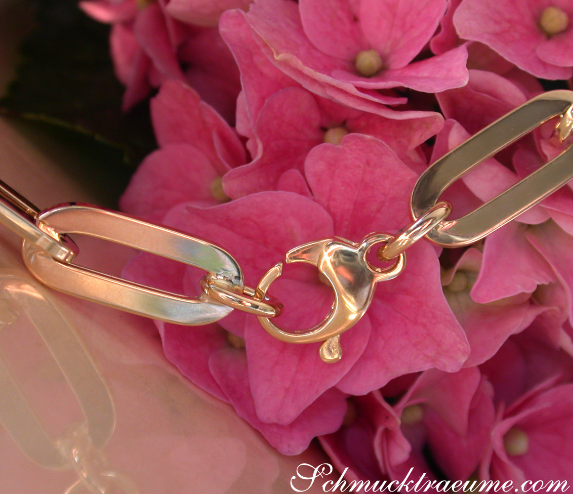 Goldene Paperclip-Halskette mit langen, detaillierten Gliedern vor rosa Hortensienblüten