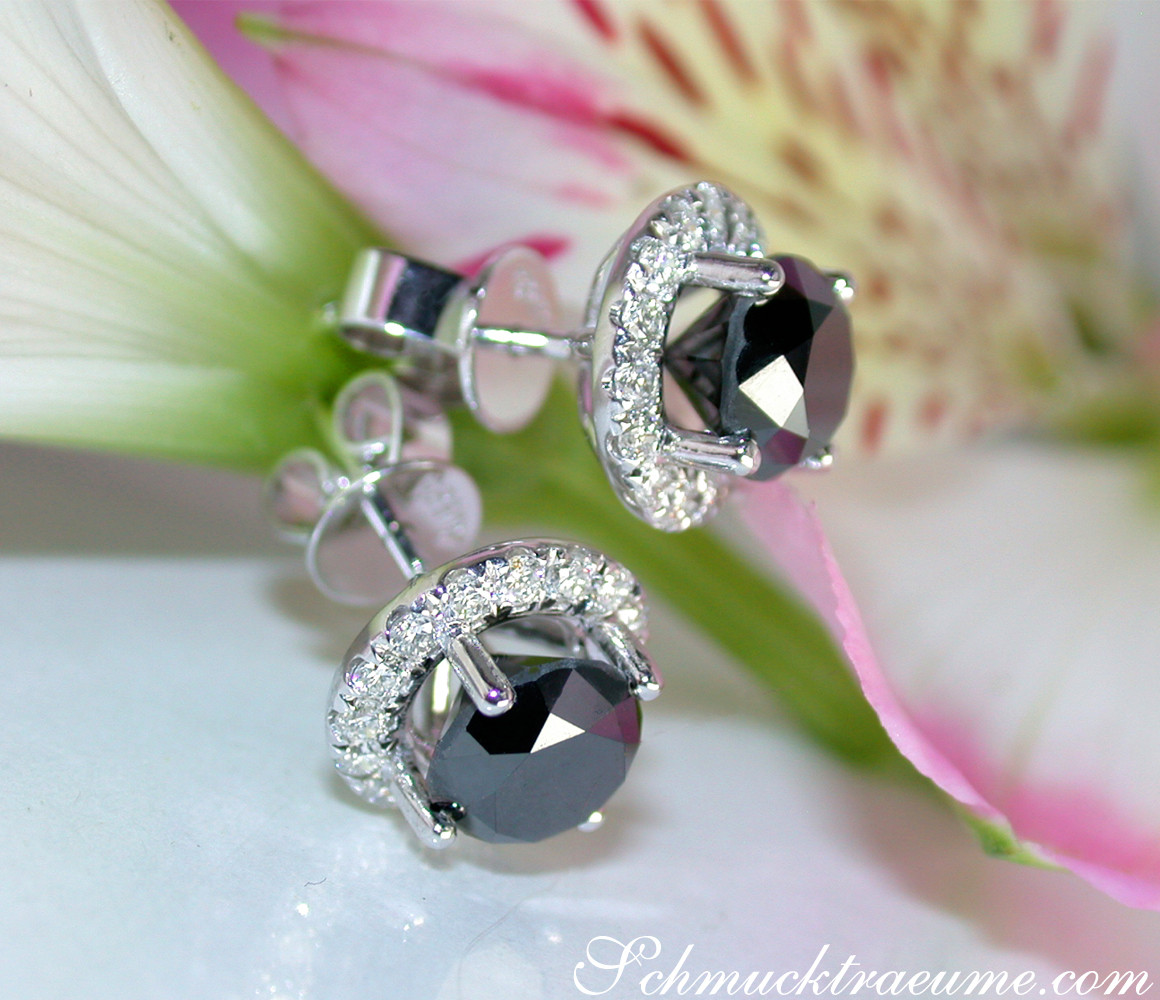 Schwarze Diamant-Ohrstecker mit Halo-Design, Detailaufnahme, Blume im Hintergrund