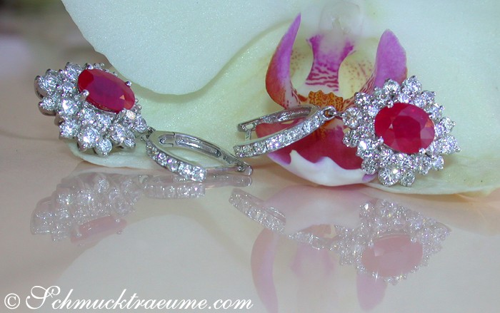 Exquisite Burma Rubin Ohrstecker mit Brillanten - Image 4