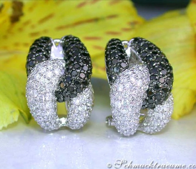 Weißgold-Ohrstecker mit schwarzen und weißen Diamanten, Blätter im Hintergrund. Weißgold-Ohrstecker mit schwarzen und weißen Diamanten, Blätter im Hintergrund.