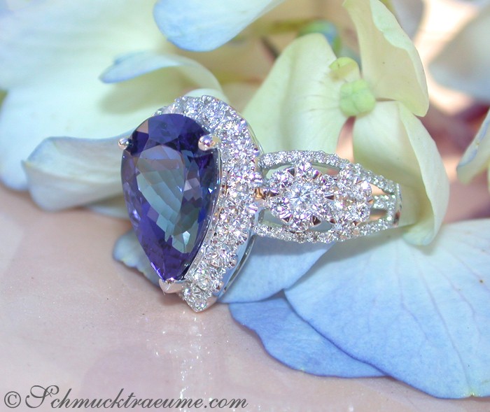 Weißgold-Tanzanit-Ring mit Brillanten, Detailaufnahme, Blütenhintergrund