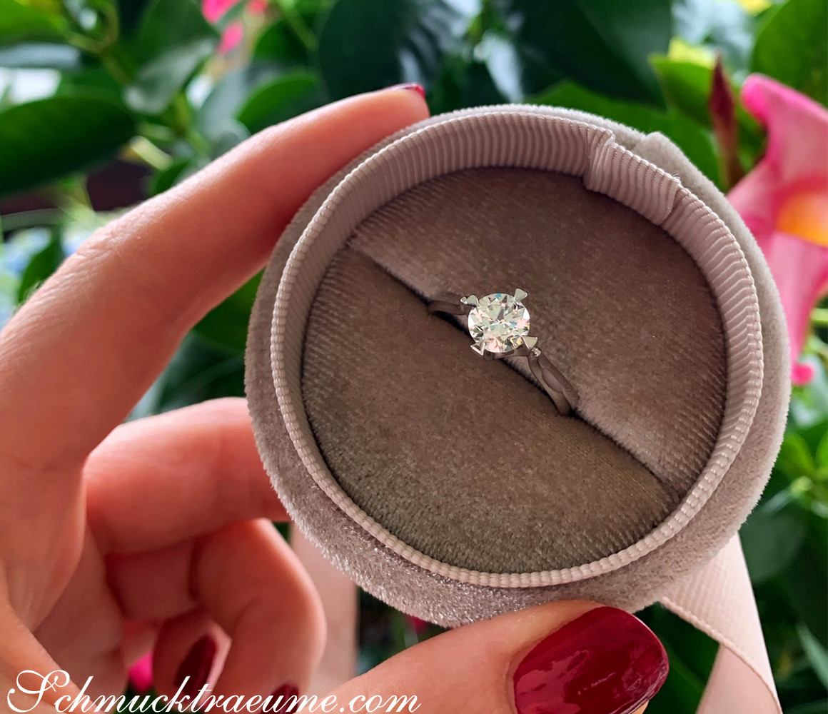 Weißgold-Brillant Solitär-Ring in Box, Detailaufnahme, grüne Pflanzen im Hintergrund