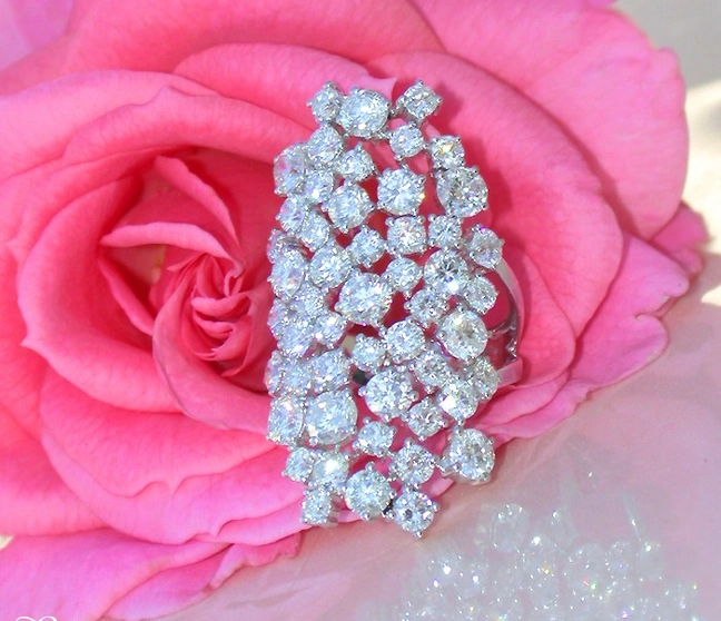 Rosenblüte mit funkelndem Brillanten-Ring, Detailaufnahme Rosenblüte mit funkelndem Brillanten-Ring, Detailaufnahme