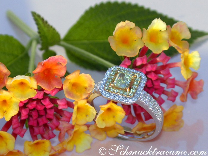 Blumige Detailansicht: Goldener Ring mit gelben Diamanten, umgeben von farbenfrohen Blüten.