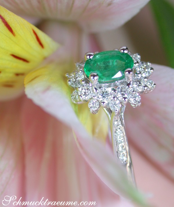 Smaragd-Ring mit Brillanten in Weißgold 585, Detailaufnahme, Blütenhintergrund