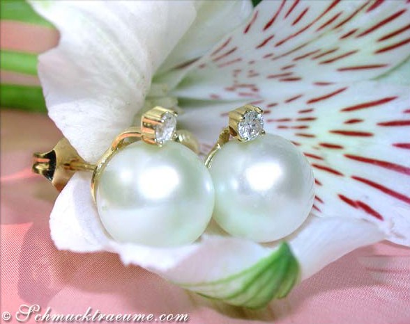 Zeitlos edle Südseeperlen Ohrstecker in Gelbgold 585 - Image 3