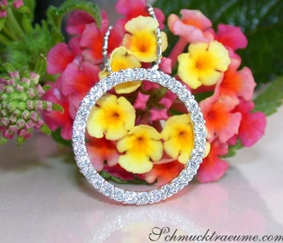Weißgold 750 Kreis Anhänger mit Diamanten, Blumen im Hintergrund