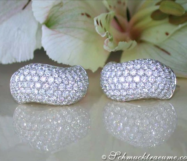 Diamantohrringe aus Weißgold, geschwungene Form, glänzende Brillanten, auf weißem Hintergrund mit Blume Diamantohrringe aus Weißgold, geschwungene Form, glänzende Brillanten, auf weißem Hintergrund mit Blume