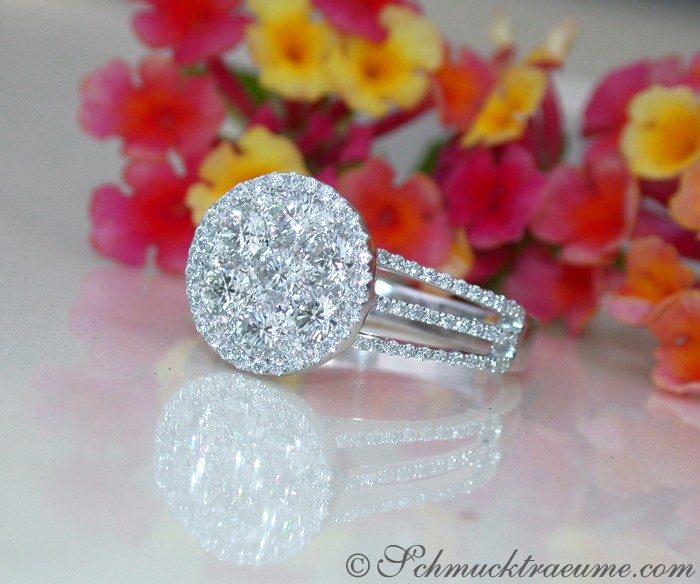 Flacher Brillantenring in Weißgold, detailreich, Blumen im Hintergrund.