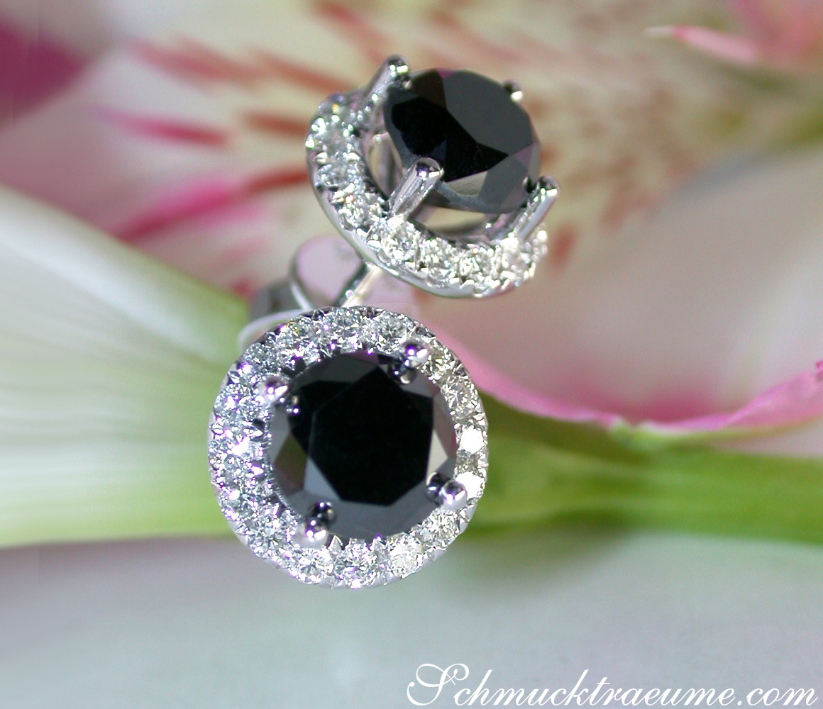 Schwarze Diamant-Ohrstecker mit Halo-Design in Weißgold, Detailaufnahme